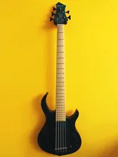 Sire Marcus Miller M2 5 TBL